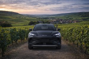 mon-chauffeur-VTC-dijon-tourisme-dans-les-vignes-web